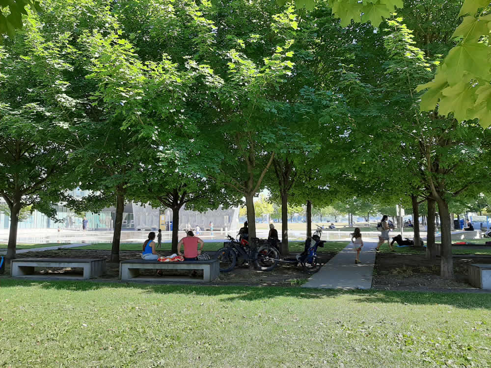 Sherbourne Common Splash Pad Benches