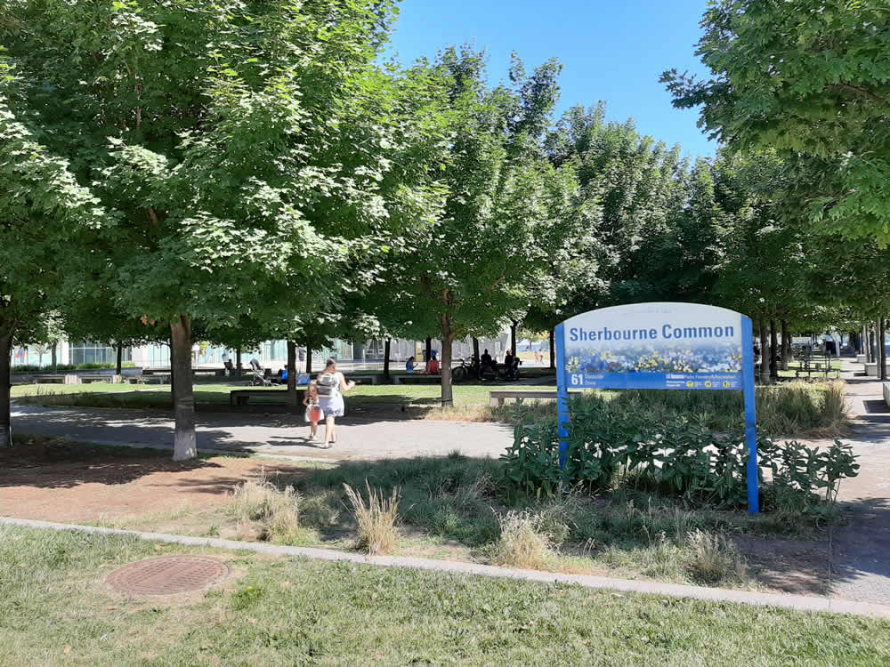 Sherbourne Common in Toronto