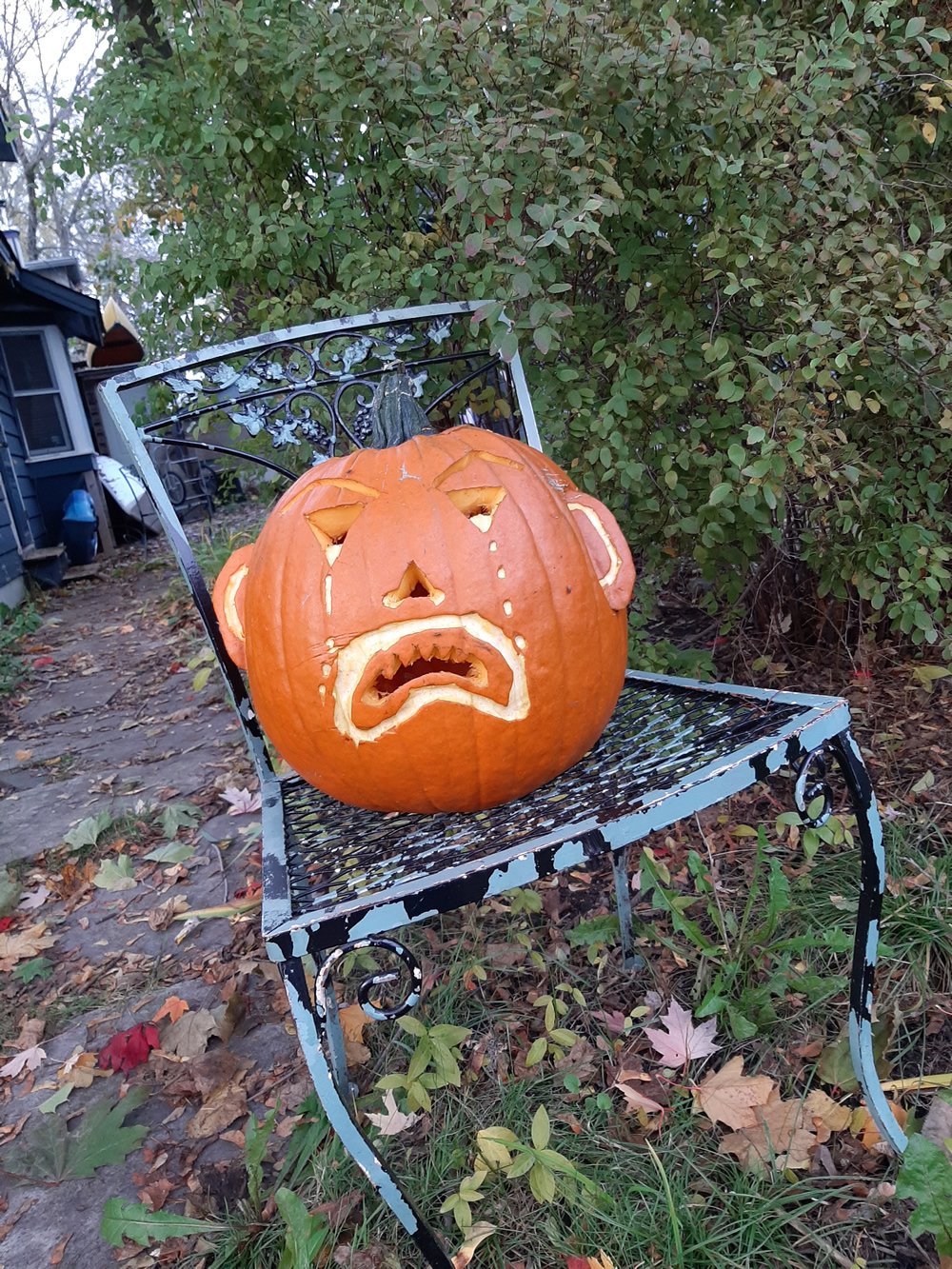 Carved pumpkin on Ward's Island