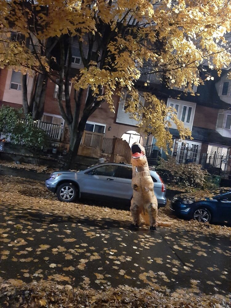 Dinosaur costume during Halloween on Longboat Avenue in Toronto