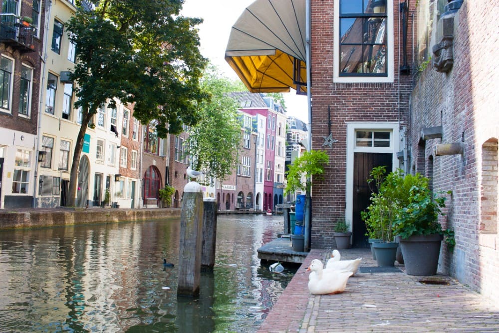 Twijnstraat aan de Werf in Utercht, Netherlands.